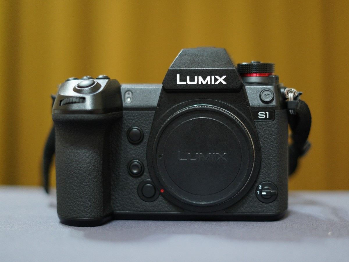 partij Afrikaanse Hoofd Camera review: Panasonic Lumix DC-S1