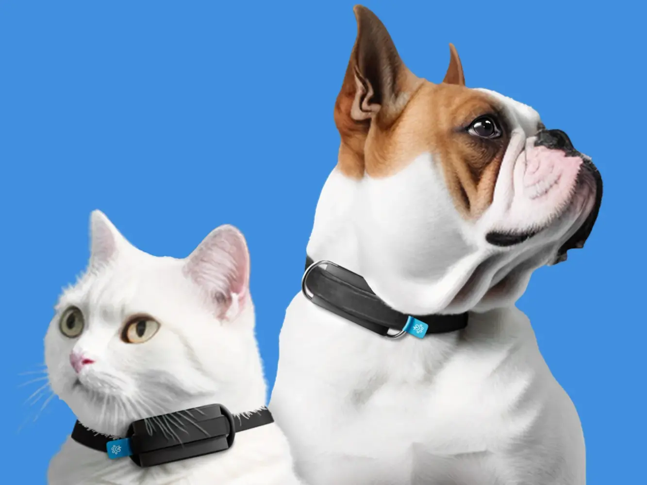 CES 2024 Invoxia Minitailz Smart Pet Tracker Allows You To Monitor   INVOXIA Minitail CES 2024.webp